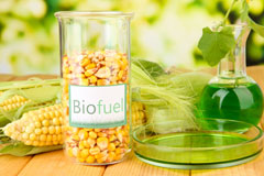 Badger biofuel availability